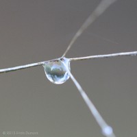 /album/galerie-photos/frida-dumont-img-4820-jpg/